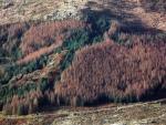 Duddon valley.