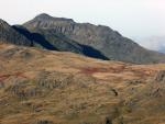 Bowfell.