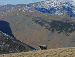 Hartsop Horseshoe walk.