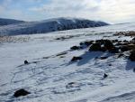 Thornthwaite Crag.