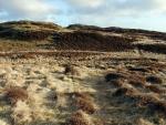 The rocky top of Gowbarrow Fell on the skyline.