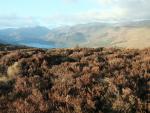 Gowbarrow Fell walk.