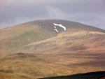 Close up of Great Dodd.