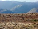 Gowbarrow Fell walk.