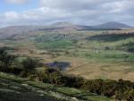 Descending through the gorse to cross the valley.