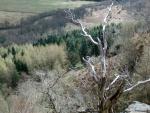 Gowbarrow Fell walk.