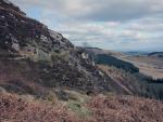 Gowbarrow Fell walk.