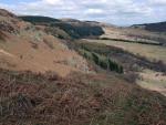 Gowbarrow Fell walk.
