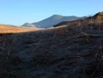 Scafell in the distance.