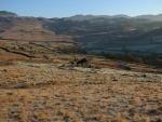 Burnmoor Tarn walk.