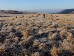 Stone Circle, Brat's Moss.