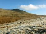 Slight Side  from Eskdale Fell.