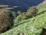 Looking back down the Esk gorge.