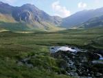 Great Moss.