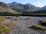  Great Moss.