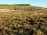 Looking back to Wild Boar Fell.