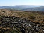 Looking down White Birks Common.