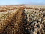 En route to High Seat.