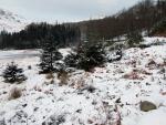 Harrop Tarn.