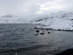 Blea Tarn.