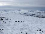 Bell Crags walk.