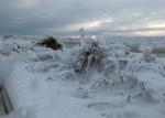 Wythburn Fell.