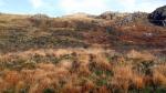 Harter Fell walk.