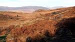 Harter Fell walk.