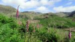 Coniston Round.