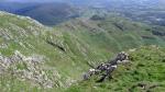 Coniston round.
